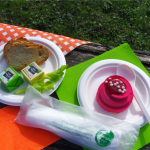 Assiettes pulpe Ø 15 cm