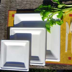 Assiettes pulpe carré 16 cm