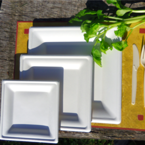 Assiettes pulpe carré 20 cm